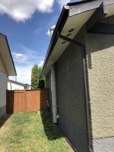 stucco painting contractors